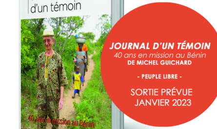 couverture du livre Journal d'un témoin. L'auteur marche dans la brousse béninoise.